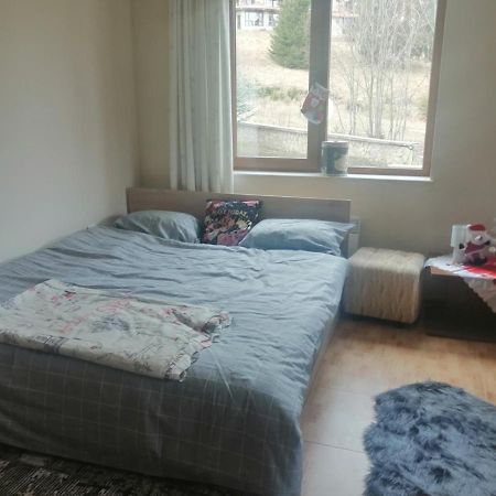 Apartment Dream Pamporovo Dış mekan fotoğraf