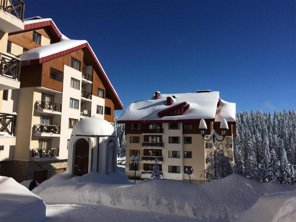 Apartment Dream Pamporovo Dış mekan fotoğraf